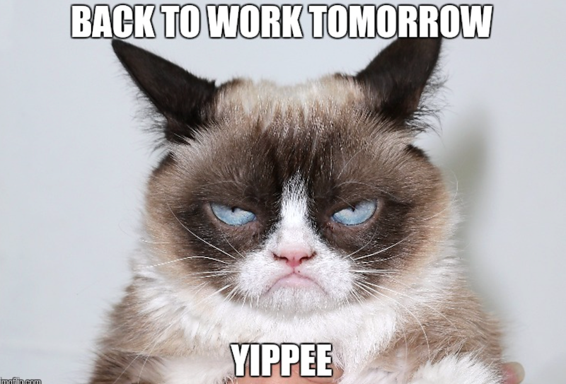 BACK TO WORK TOMORROW maflin.com YIPPEE