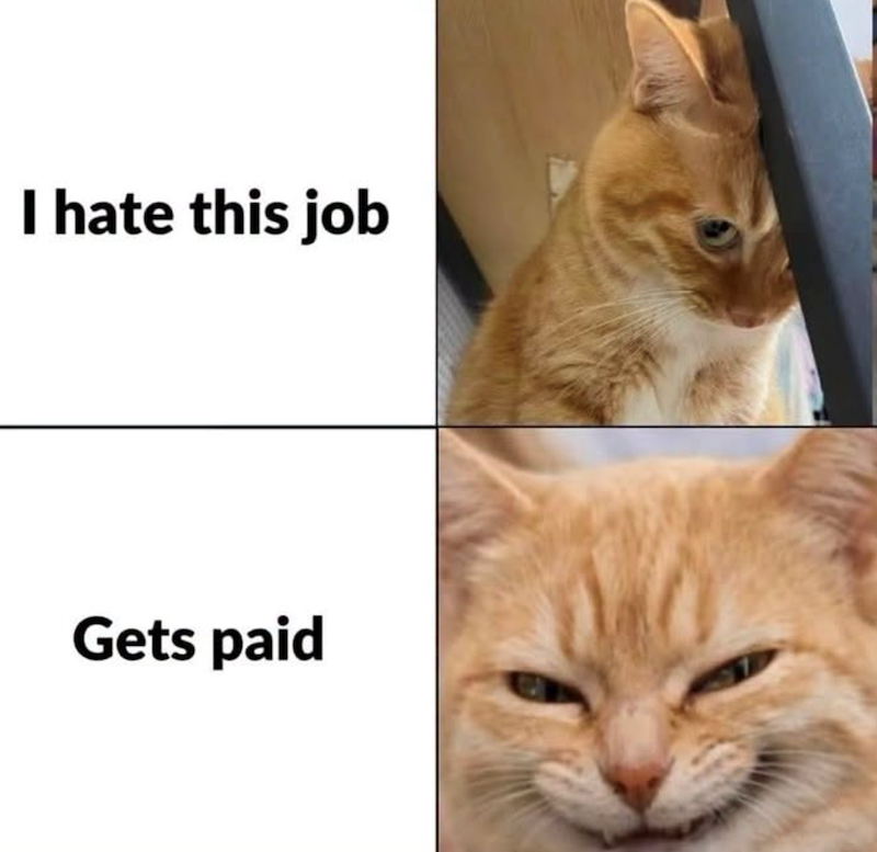 I hate this job Gets paid