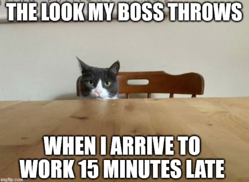 THE LOOK MY BOSS THROWS imgflip.com WHEN I ARRIVE TO WORK 15 MINUTES LATE