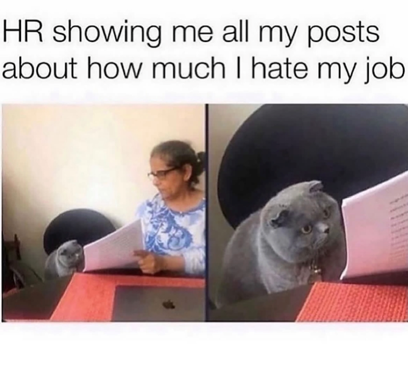 HR showing me all my posts. about how much I hate my job
