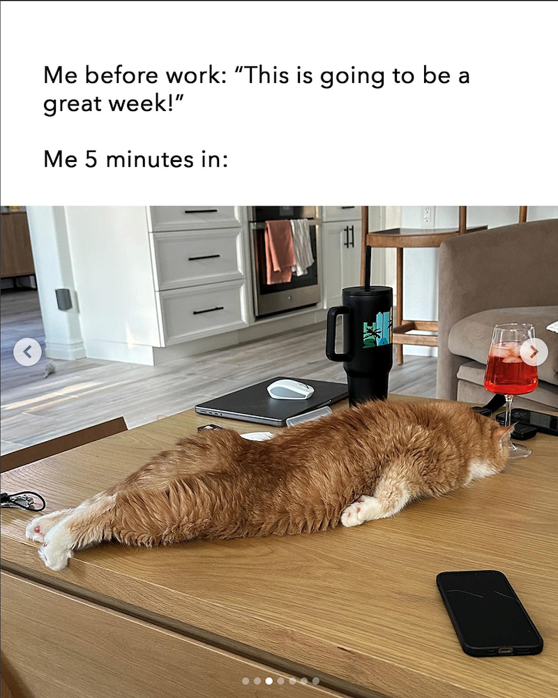 Me before work: "This is going to be great week!" Me 5 minutes in: