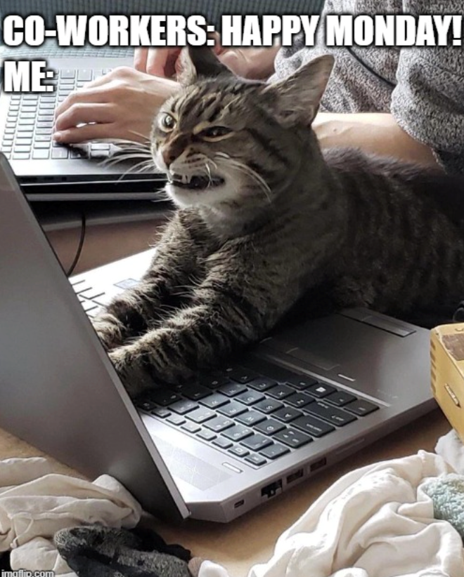 imaflip.com CO-WORKERS: HAPPY MONDAY! ME: 9