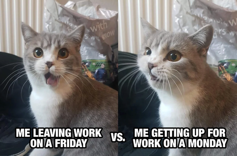 with OW ME LEAVING WORK ON A FRIDAY VS. ME GETTING UP FOR WORK ON A MONDAY 345