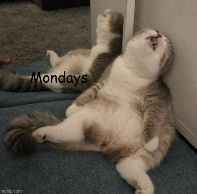 imgflip.com Mondays
