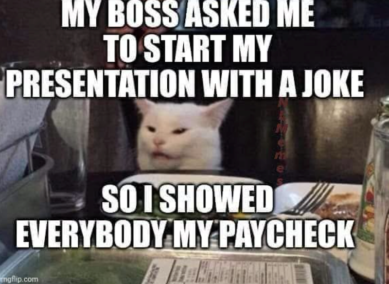 MY BOSS ASKED ME TO START MY PRESENTATION WITH A JOKE SO I SHOWED EVERYBODY MY PAYCHECK mgflip.com