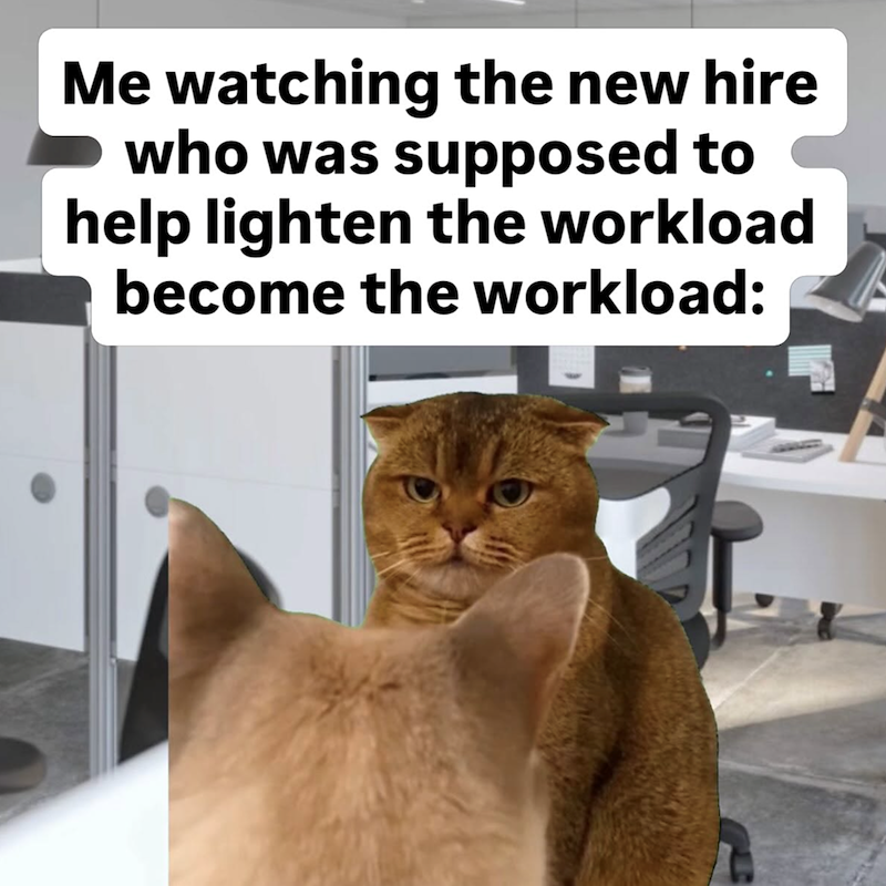 Me watching the new hire who was supposed to help lighten the workload become the workload:
