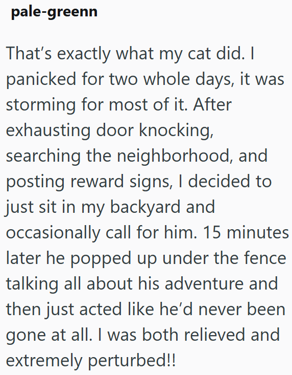 pale-greenn That's exactly what my cat did. I panicked for two whole days, it was storming for most of it. After exhausting door knocking, searching the neighborhood, and posting reward signs, I decided to just sit in my backyard and occasionally call for him. 15 minutes later he popped up under the fence talking all about his adventure and then just acted like he'd never been gone at all. I was both relieved and extremely perturbed!!