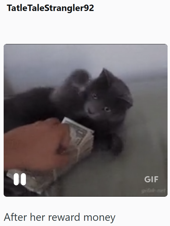 Tatle TaleStrangler92 After her reward money GIF gif