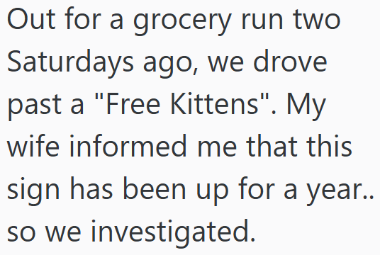 Out for a grocery run two Saturdays ago, we drove past a "Free Kittens". My wife informed me that this sign has been up for a year.. so we investigated.