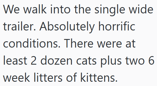 We walk into the single wide trailer. Absolutely horrific conditions. There were at least 2 dozen cats plus two 6 week litters of kittens.