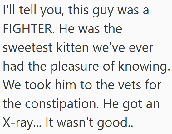 I'll tell you, this guy was a FIGHTER. He was the sweetest kitten we've ever had the pleasure of knowing. We took him to the vets for the constipation. He got an X-ray... It wasn't good..