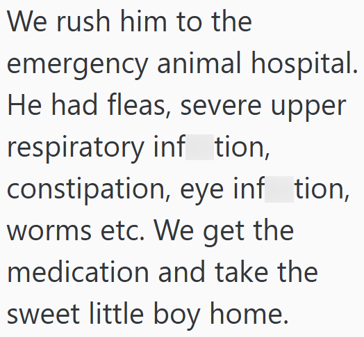 We rush him to the emergency animal hospital. He had fleas, severe upper respiratory inftion, constipation, eye inf_tion, worms etc. We get the medication and take the sweet little boy home.