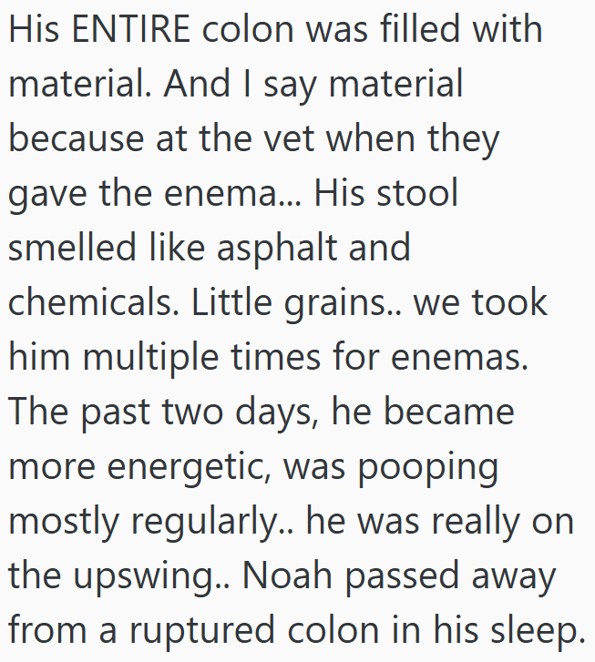 His ENTIRE colon was filled with material. And I say material because at the vet when they gave the enema... His stool smelled like asphalt and chemicals. Little grains.. we took him multiple times for enemas. The past two days, he became more energetic, was pooping mostly regularly.. he was really on the upswing.. Noah passed away from a ruptured colon in his sleep.