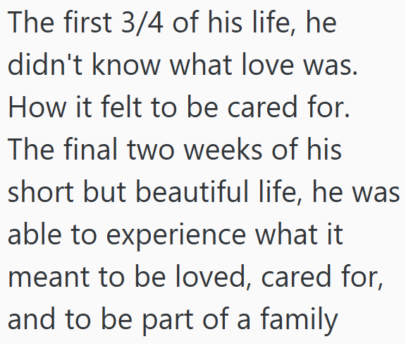 The first 3/4 of his life, he didn't know what love was. How it felt to be cared for. The final two weeks of his short but beautiful life, he was able to experience what it meant to be loved, cared for, and to be part of a family
