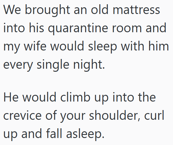 We brought an old mattress into his quarantine room and my wife would sleep with him every single night. He would climb up into the crevice of your shoulder, curl up and fall asleep.