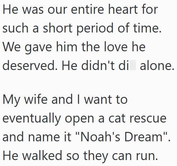 He was our entire heart for such a short period of time. We gave him the love he deserved. He didn't di alone. My wife and I want to eventually open a cat rescue and name it "Noah's Dream". He walked so they can run.