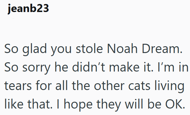 jeanb23 So glad you stole Noah Dream. So sorry he didn't make it. I'm in tears for all the other cats living like that. I hope they will be OK.