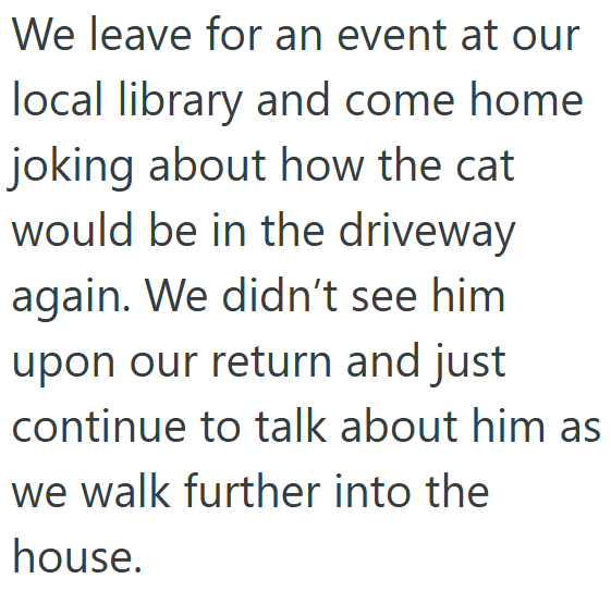 We leave for an event at our local library and come home joking about how the cat would be in the driveway again. We didn't see him upon our return and just continue to talk about him as we walk further into the house.