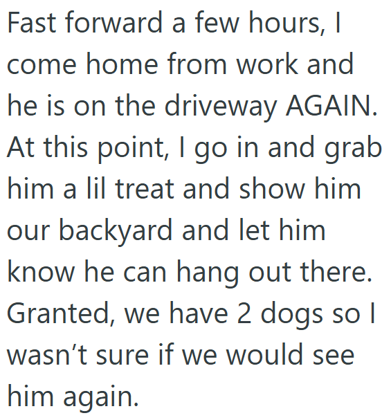 Fast forward a few hours, I come home from work and he is on the driveway AGAIN. At this point, I go in and grab him a lil treat and show him our backyard and let him know he can hang out there. Granted, we have 2 dogs so I wasn't sure if we would see him again.
