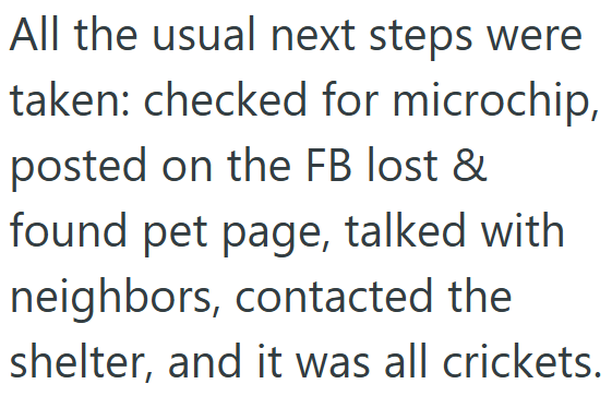 All the usual next steps were taken: checked for microchip, posted on the FB lost & found pet page, talked with neighbors, contacted the shelter, and it was all crickets.