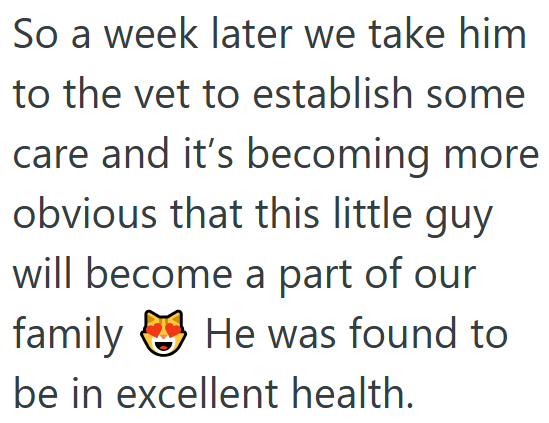 So a week later we take him to the vet to establish some care and it's becoming more obvious that this little guy will become a part of our family He was found to be in excellent health.