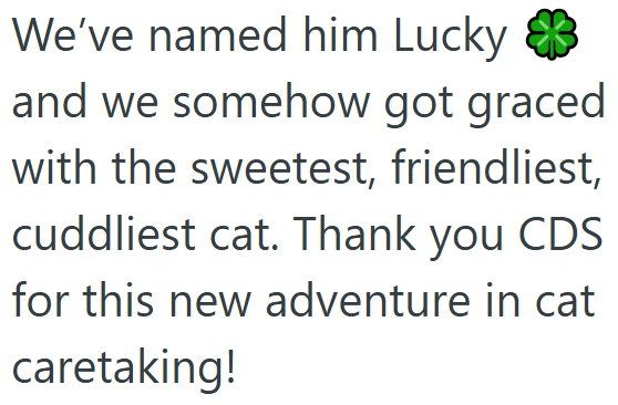 We've named him Lucky and we somehow got graced with the sweetest, friendliest, cuddliest cat. Thank you CDS for this new adventure in cat caretaking!