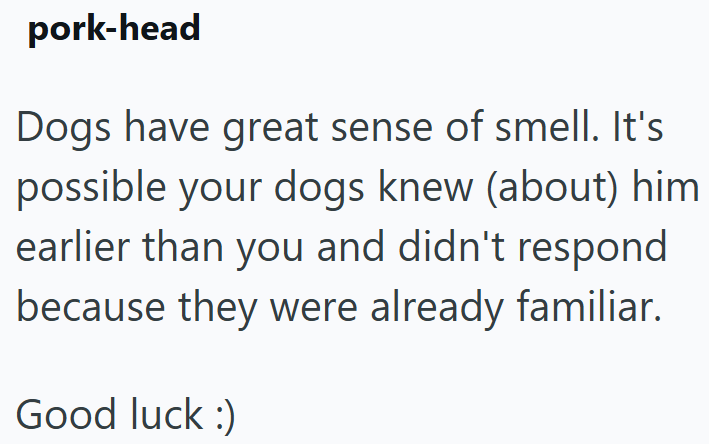 pork-head Dogs have great sense of smell. It's possible your dogs knew (about) him earlier than you and didn't respond because they were already familiar. Good luck :)