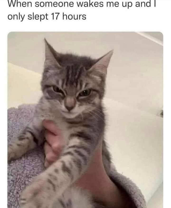 When someone wakes me up and I only slept 17 hours