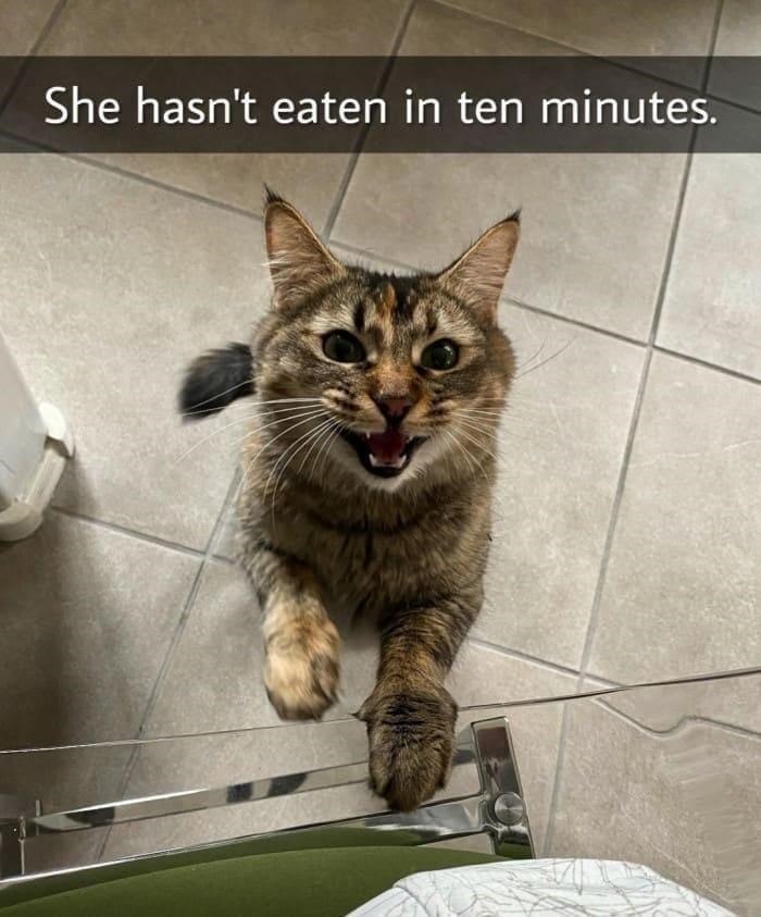 She hasn't eaten in ten minutes.