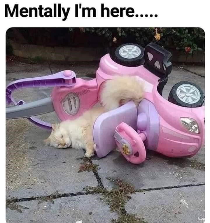 Mentally I'm here..... aboneddreams