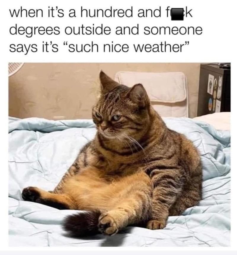 when it's a hundred and fok degrees outside and someone says it's "such nice weather"