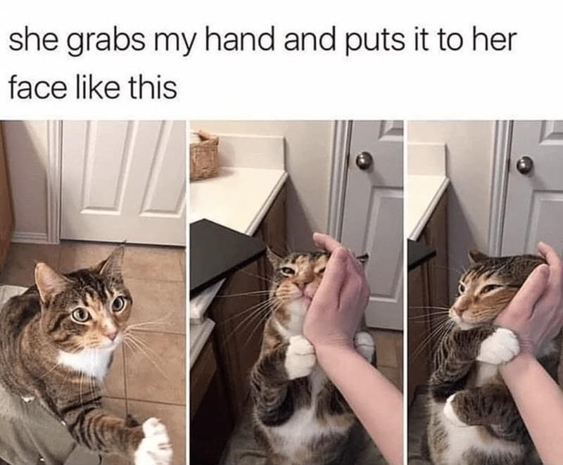 she grabs my hand and puts it to her face like this