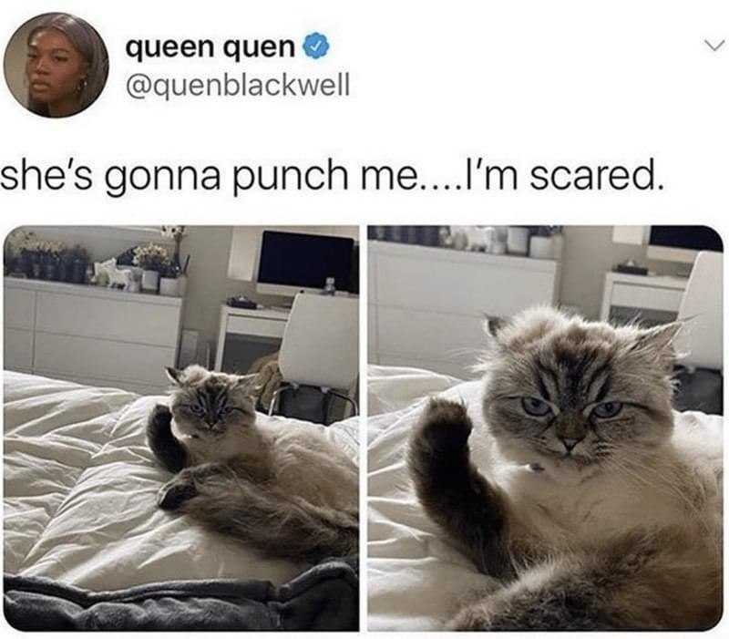 queen quen @quenblackwell she's gonna punch me....I'm scared.