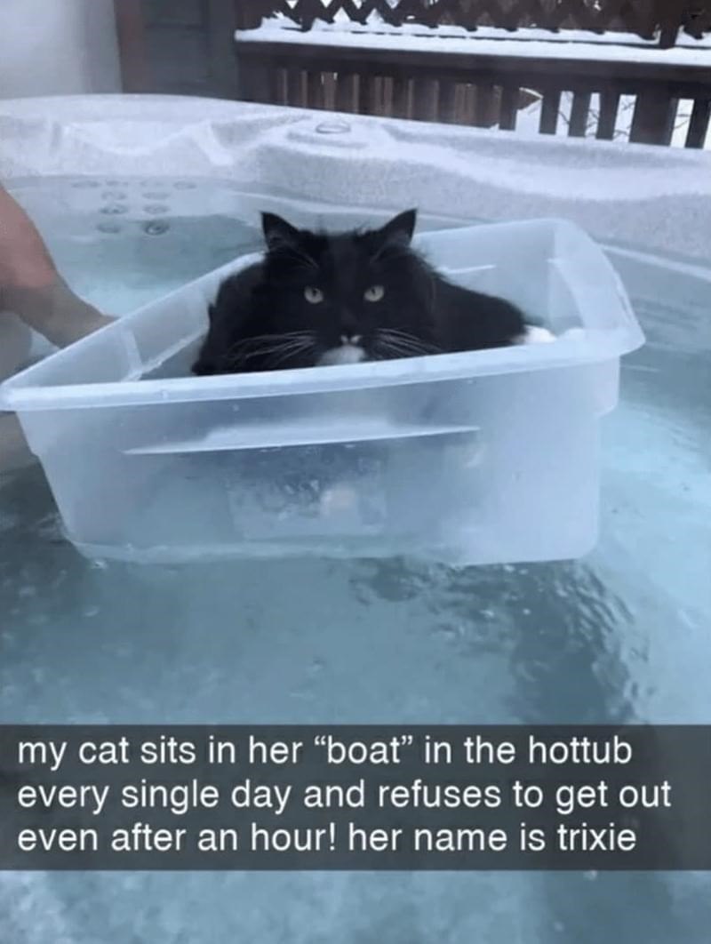 my cat sits in her "boat" in the hottub every single day and refuses to get out even after an hour! her name is trixie