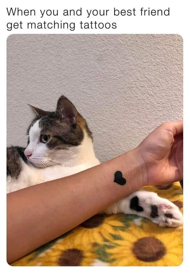 When you and your best friend get matching tattoos.