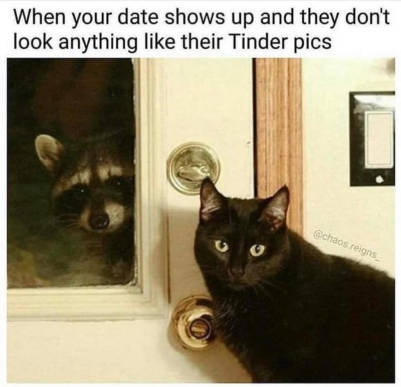 When your date shows up and they don't look anything like their Tinder pics @chaos.reigns