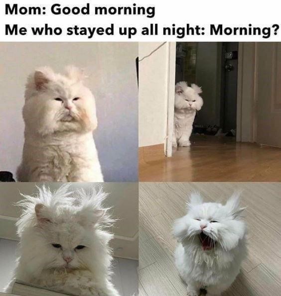 Mom: Good morning Me who stayed up all night: Morning?