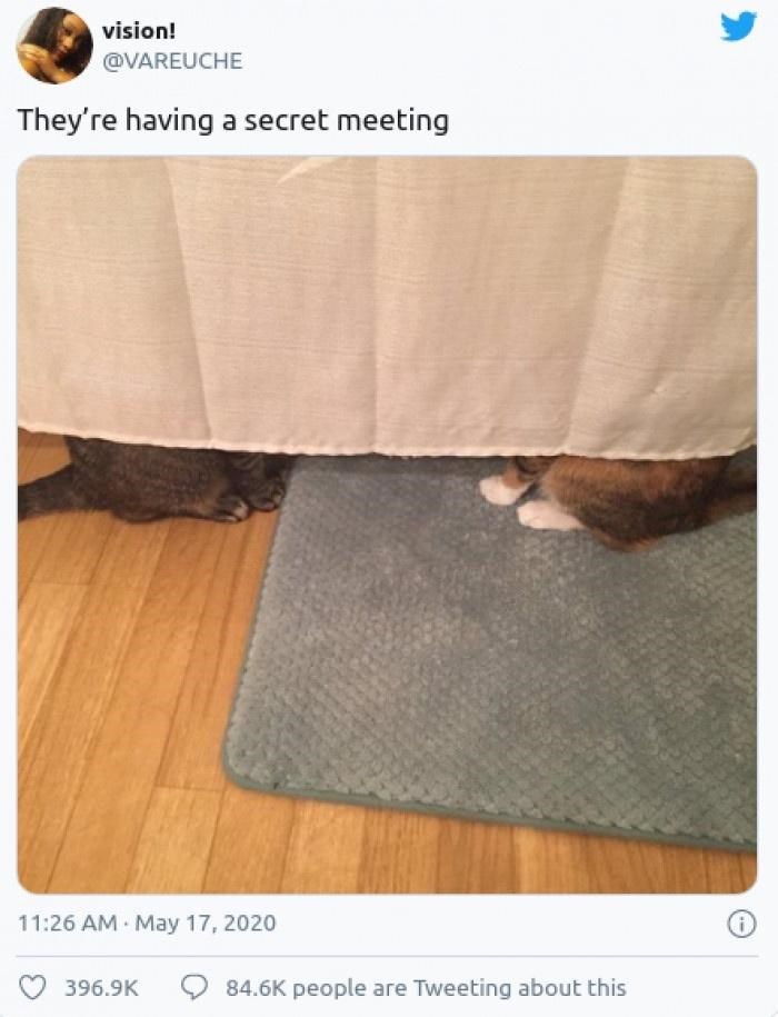vision! @VAREUCHE They're having a secret meeting 11:26 AM May 17, 2020 396.9K 84.6K people are Tweeting about this