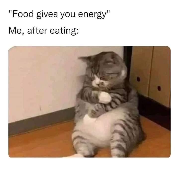 "Food gives you energy" Me, after eating: