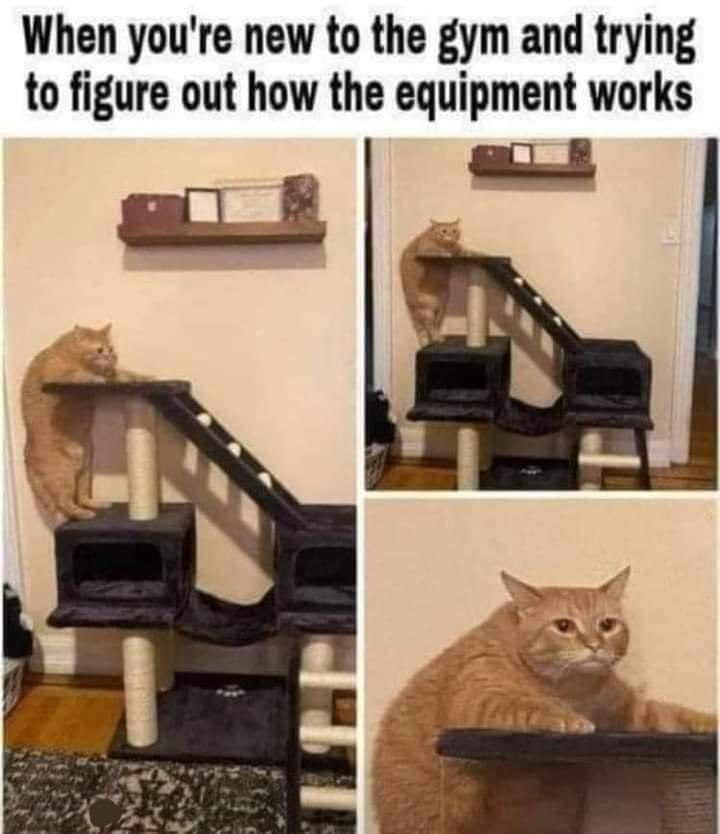 When you're new to the gym and trying to figure out how the equipment works