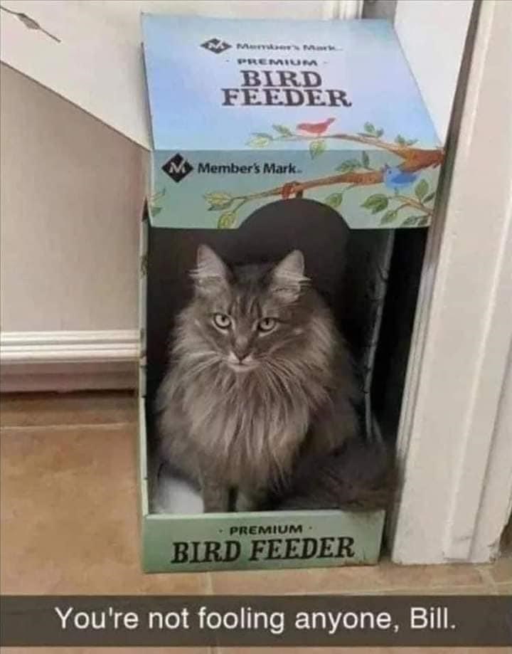 Member's Mark PREMIUM BIRD FEEDER Member's Mark. PREMIUM BIRD FEEDER You're not fooling anyone, Bill.