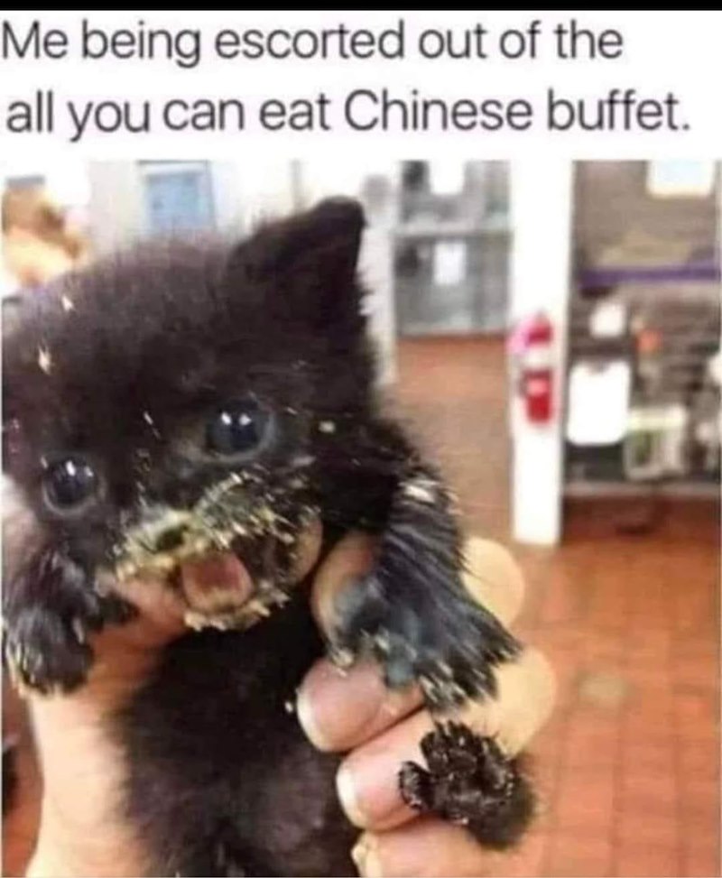 Me being escorted out of the all you can eat Chinese buffet. D