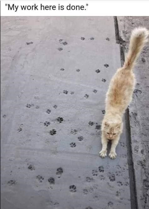 "My work here is done."