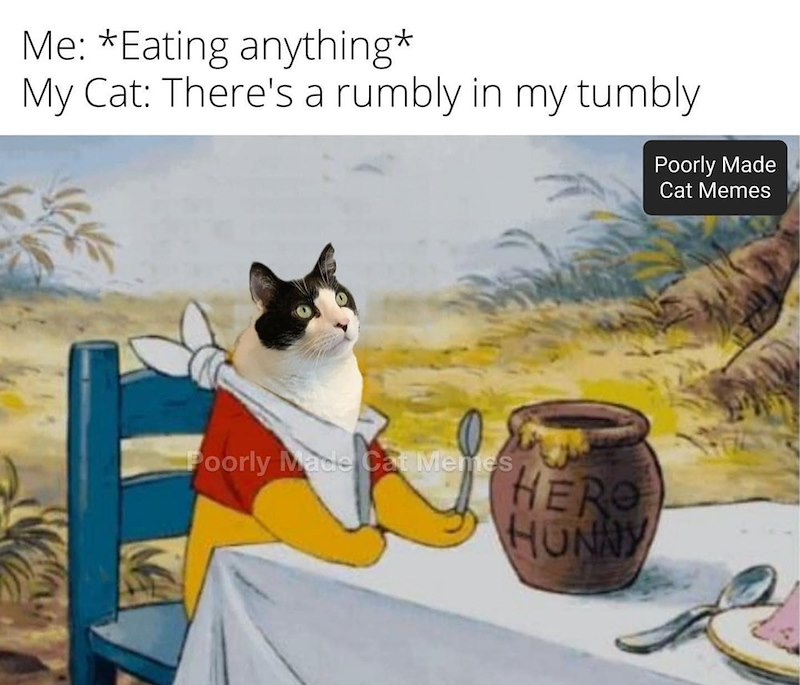 Me: *Eating anything* My Cat: There's a rumbly in my tumbly Poorly Made Cat Memes HERO HUNNY Poorly Made Cat Memes