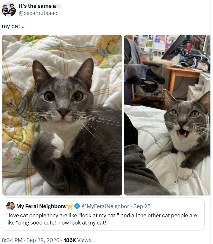 it's the same a @oscarnutsaac my cat... My Feral Neighbors . @MyFeralNeighbor • Sep 25 i love cat people they are like "look at my cat!" and all the other cat people are like "omg sooo cute! now look at my cat!" 8:04 PM · Sep 28, 2026 186K Views