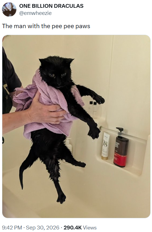 ONE BILLION DRACULAS @emwheezie The man with the pee pee paws 08 9:42 PM ⚫ Sep 30, 2026 290.4K Views