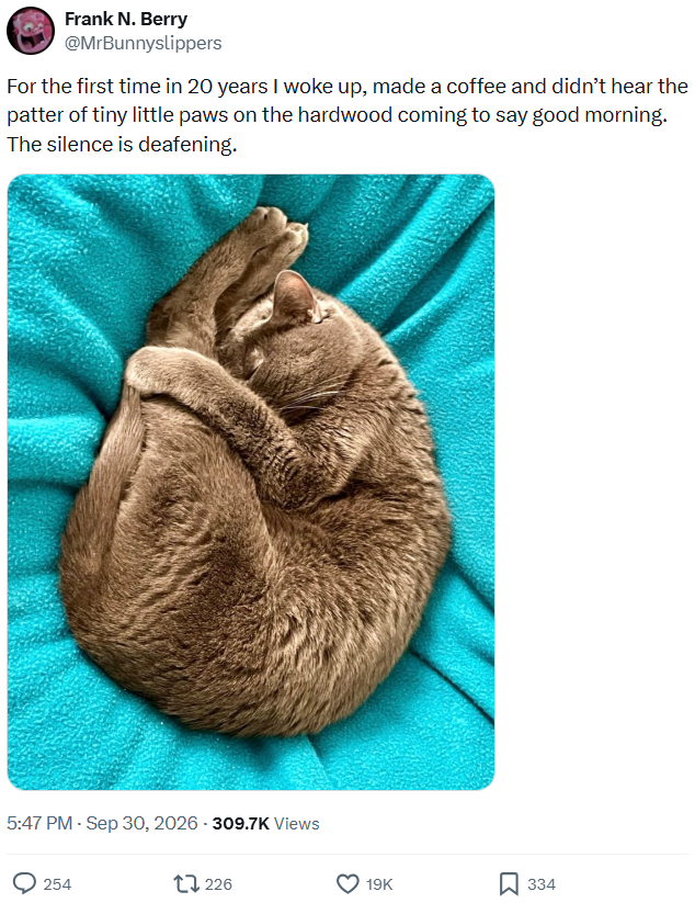 Frank N. Berry @MrBunnyslippers For the first time in 20 years I woke up, made a coffee and didn't hear the patter of tiny little paws on the hardwood coming to say good morning. The silence is deafening. 5:47 PM - Sep 30, 2026 -309.7K Views 254 226 19K ☐ 334