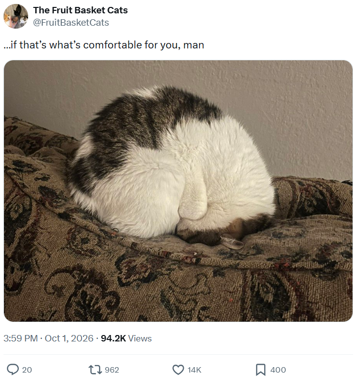 The Fruit Basket Cats @FruitBasketCats ...if that's what's comfortable for you, man 3:59 PM. Oct 1, 2026 94.2K Views 20 1962 14K 400