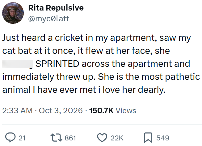 Rita Repulsive @mycolatt Just heard a cricket in my apartment, saw my cat bat at it once, it flew at her face, she SPRINTED across the apartment and immediately threw up. She is the most pathetic animal I have ever met i love her dearly. 2:33 AM Oct 3, 2026 150.7K Views 21 17861 22K ☐ 549