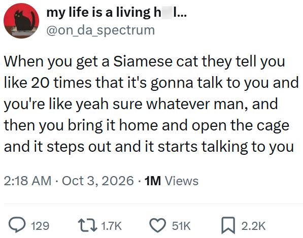 my life is a living h_I... @on_da_spectrum When you get a Siamese cat they tell you like 20 times that it's gonna talk to you and you're like yeah sure whatever man, and then you bring it home and open the cage and it steps out and it starts talking to you 2:18 AM Oct 3, 2026 1M Views 129 1.7K 51K ☐ 2.2K